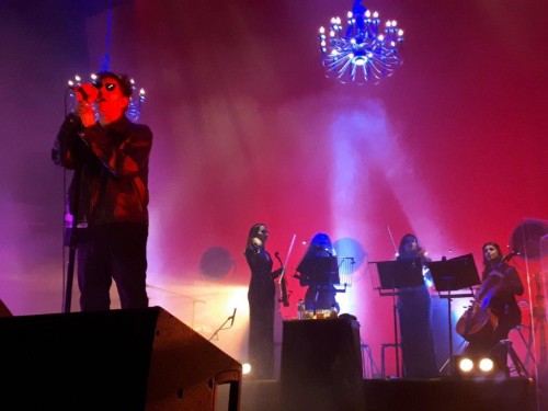 Bunnymen1